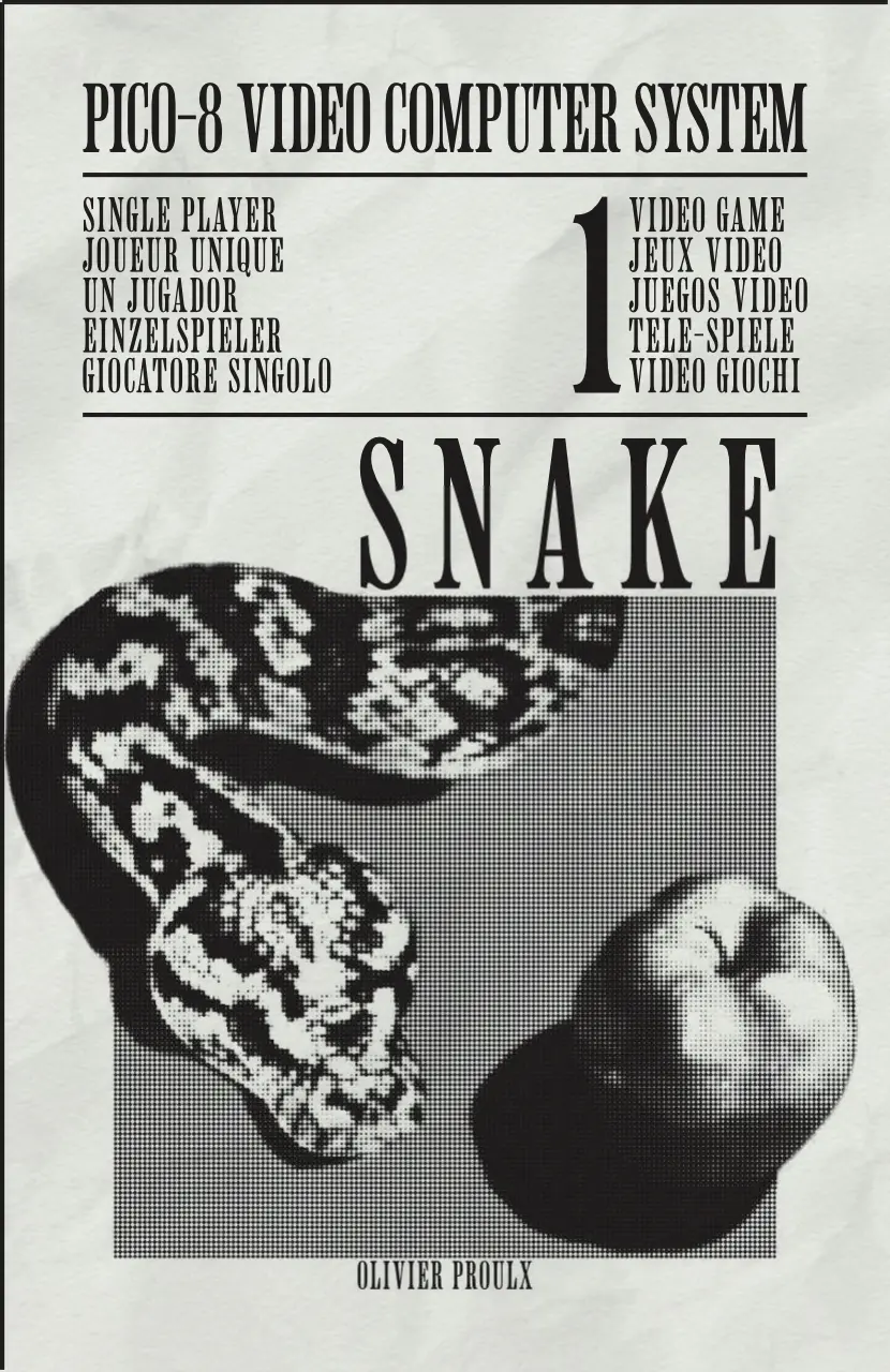 Little Snake Zine