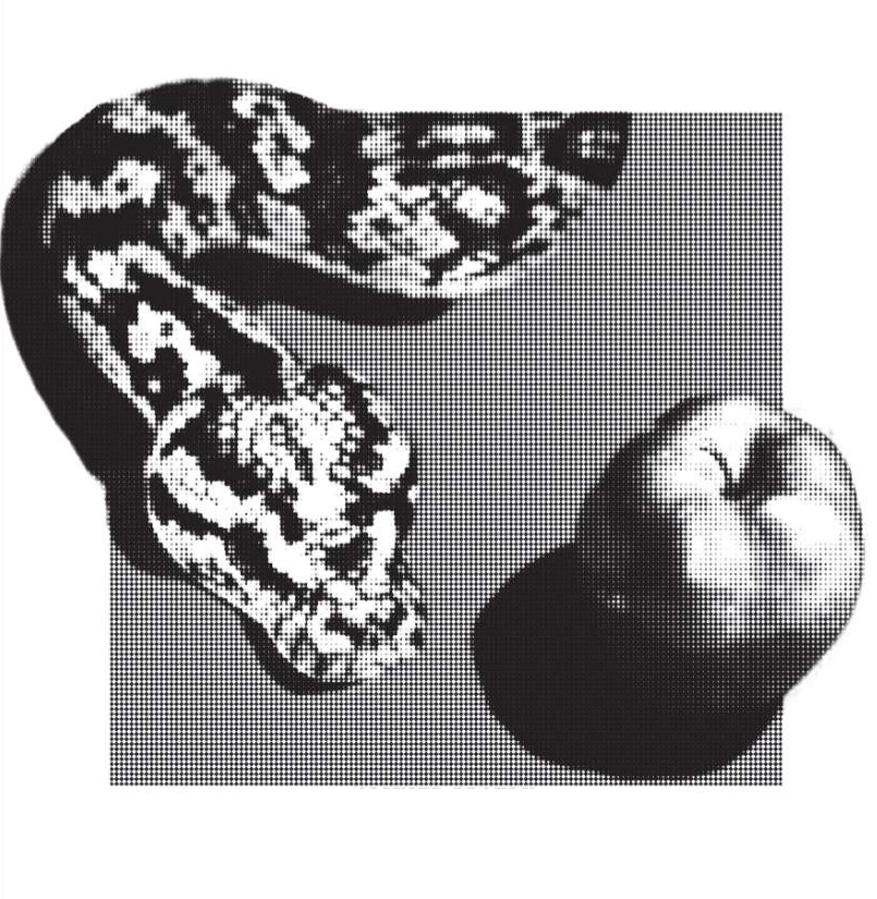 image design on the front cover